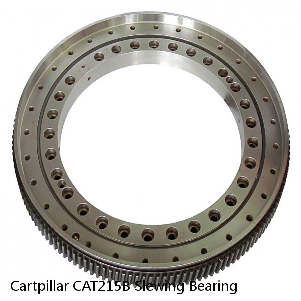 Cartpillar CAT215B Slewing Bearing