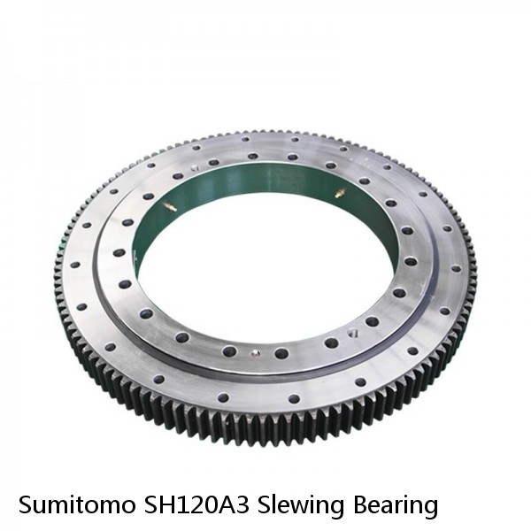 Sumitomo SH120A3 Slewing Bearing