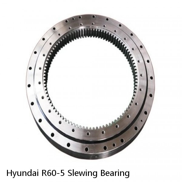 Hyundai R60-5 Slewing Bearing