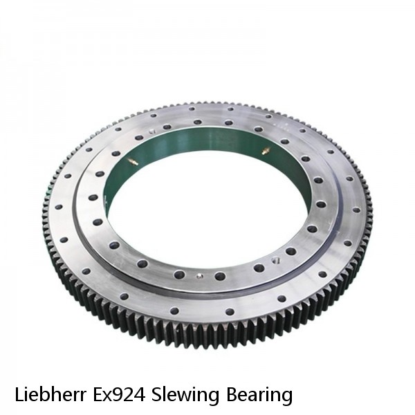 Liebherr Ex924 Slewing Bearing