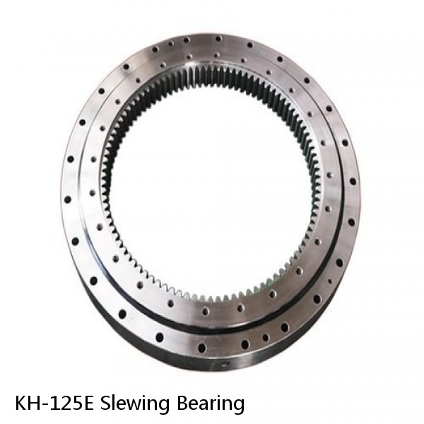 KH-125E Slewing Bearing