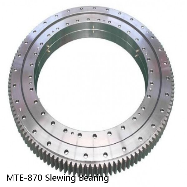 MTE-870 Slewing Bearing