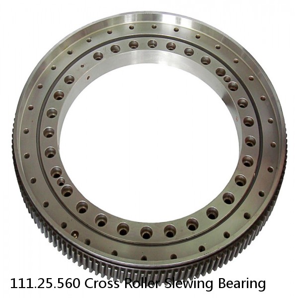111.25.560 Cross Roller Slewing Bearing