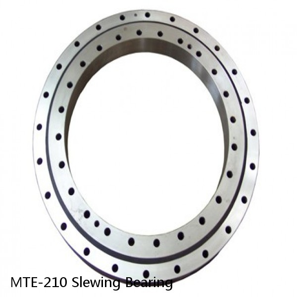 MTE-210 Slewing Bearing