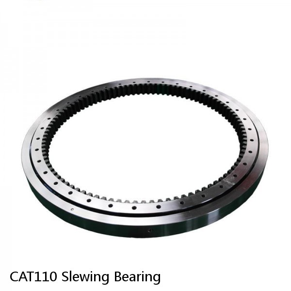 CAT110 Slewing Bearing