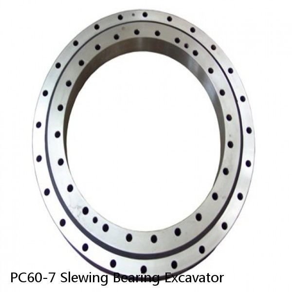 PC60-7 Slewing Bearing Excavator