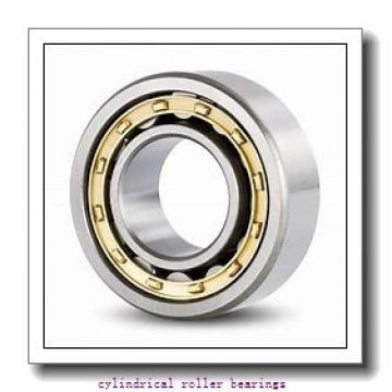 10.236 Inch | 260 Millimeter x 14.173 Inch | 360 Millimeter x 2.362 Inch | 60 Millimeter  TIMKEN NCF2952VC3  Cylindrical Roller Bearings