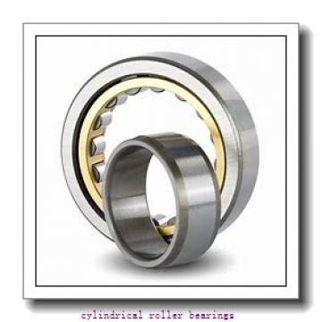8.515 Inch | 216.281 Millimeter x 12.598 Inch | 320 Millimeter x 4.25 Inch | 107.95 Millimeter  TIMKEN 5236-WS  Cylindrical Roller Bearings